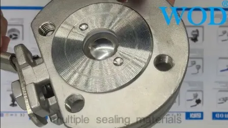 Forging Thread Connection Needle Valve