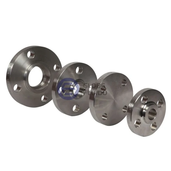 ANSI/DIN/JIS/BS/OEM Forjando Flanges de Aço Inoxidável